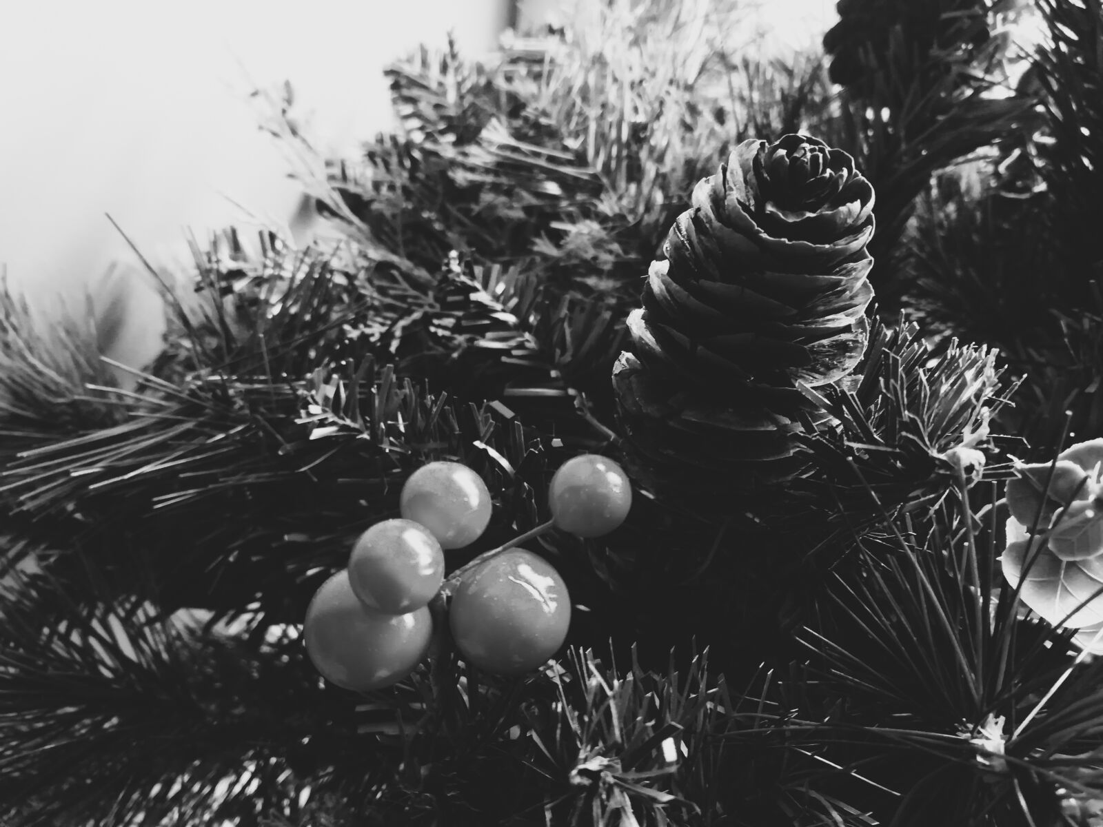 HUAWEI GR5 2017 sample photo. Black, and, white, christmas photography