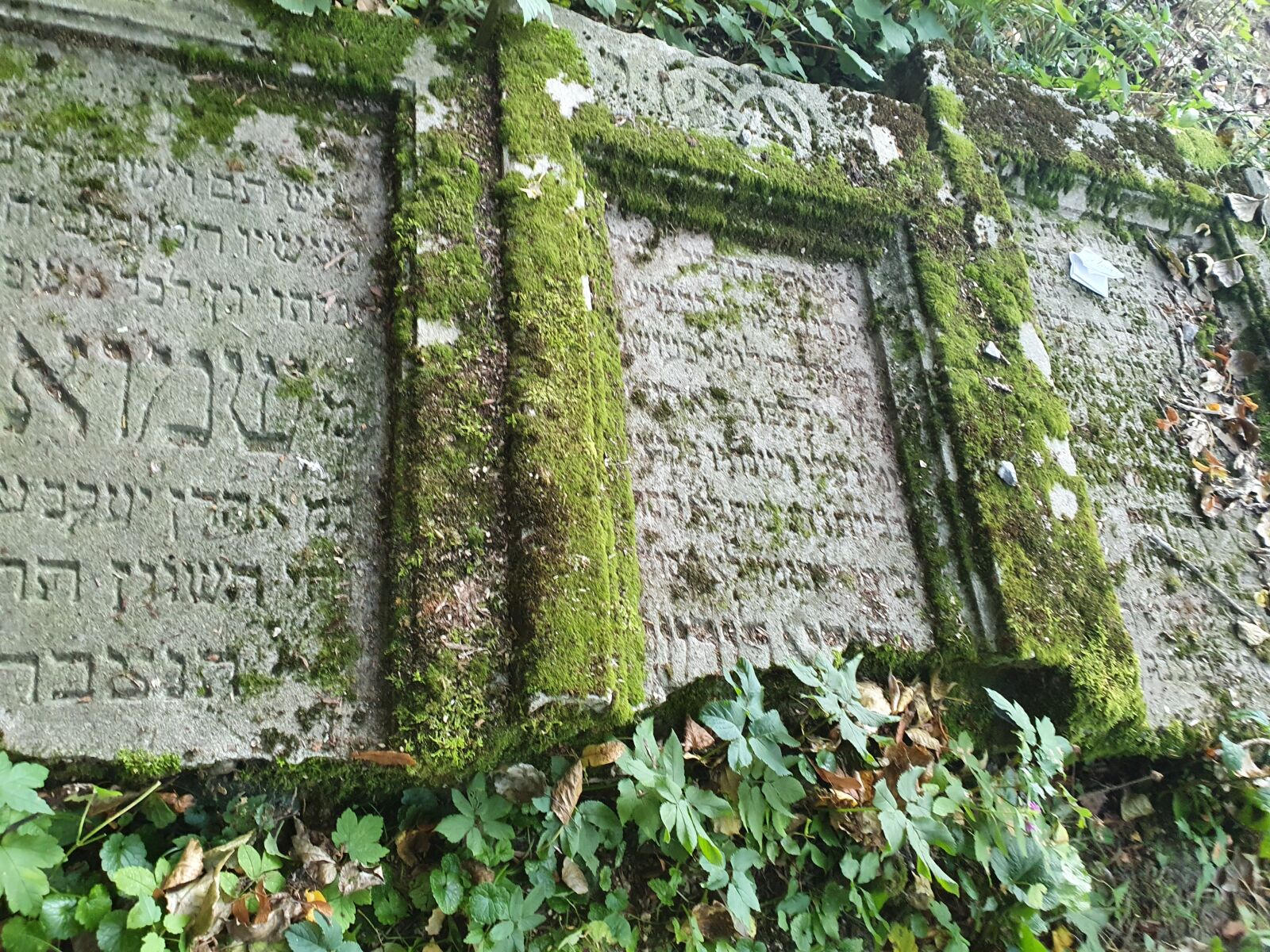 Samsung SM-G973F sample photo. Rymanov, cemetery, poland photography