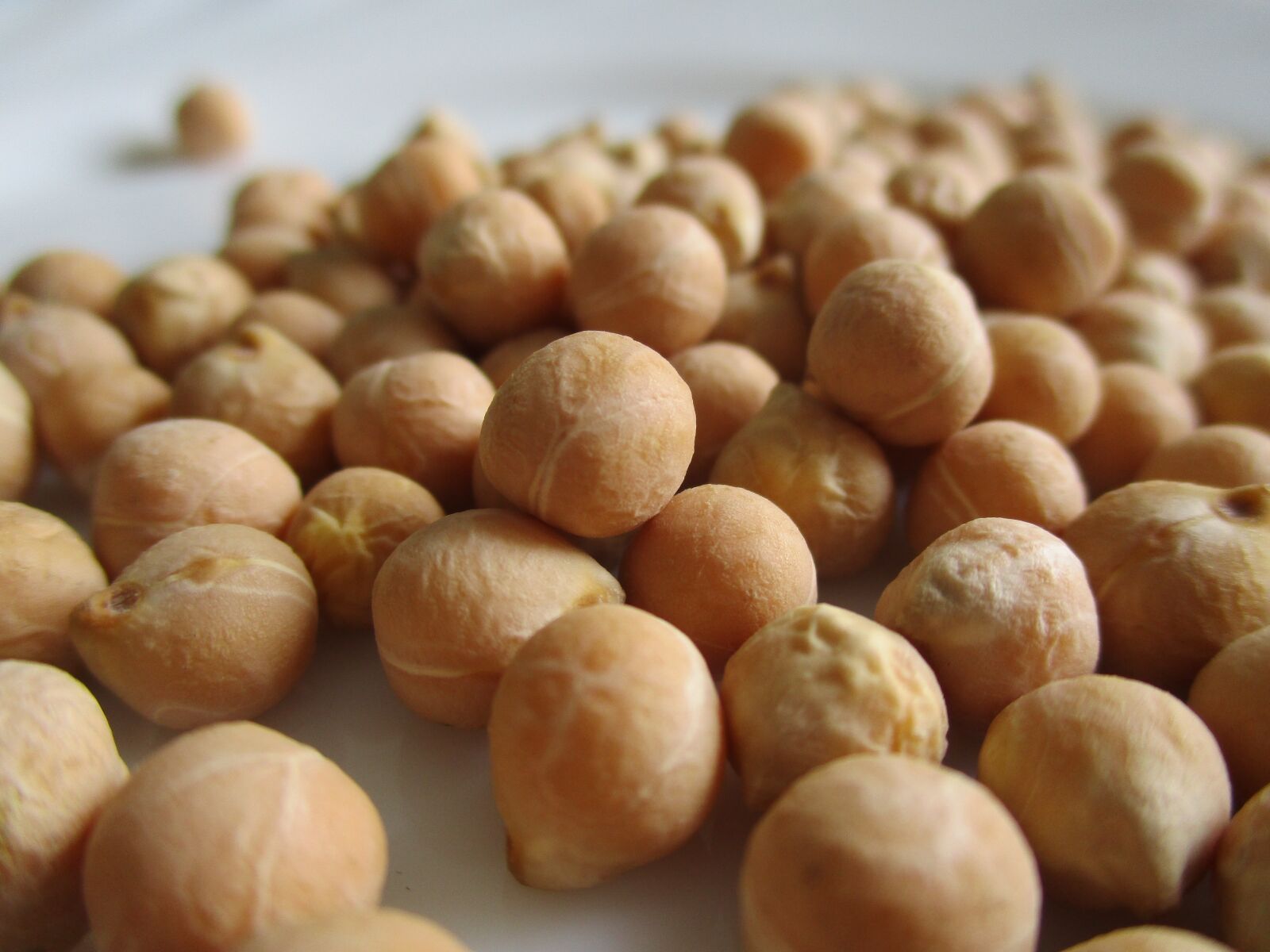 Canon IXUS 185 sample photo. Legumes, chickpeas, cicerale photography