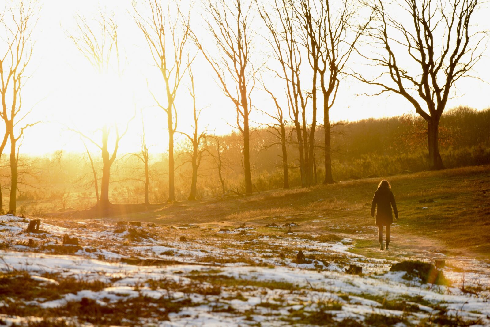 Nikon D3300 sample photo. Netherlands, sunset, woman photography