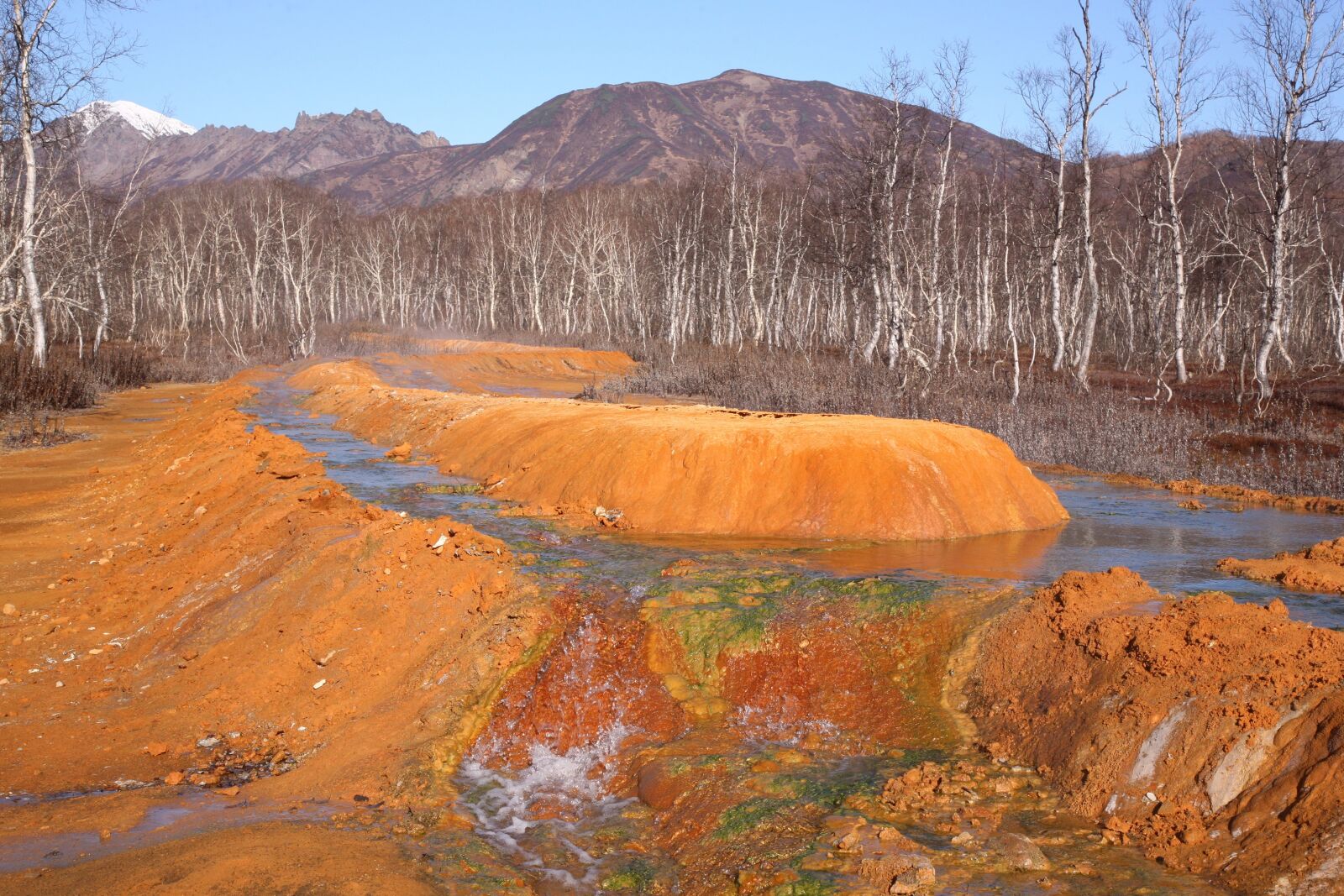 Canon EOS 5D sample photo. Hot spring, forest, mountains photography