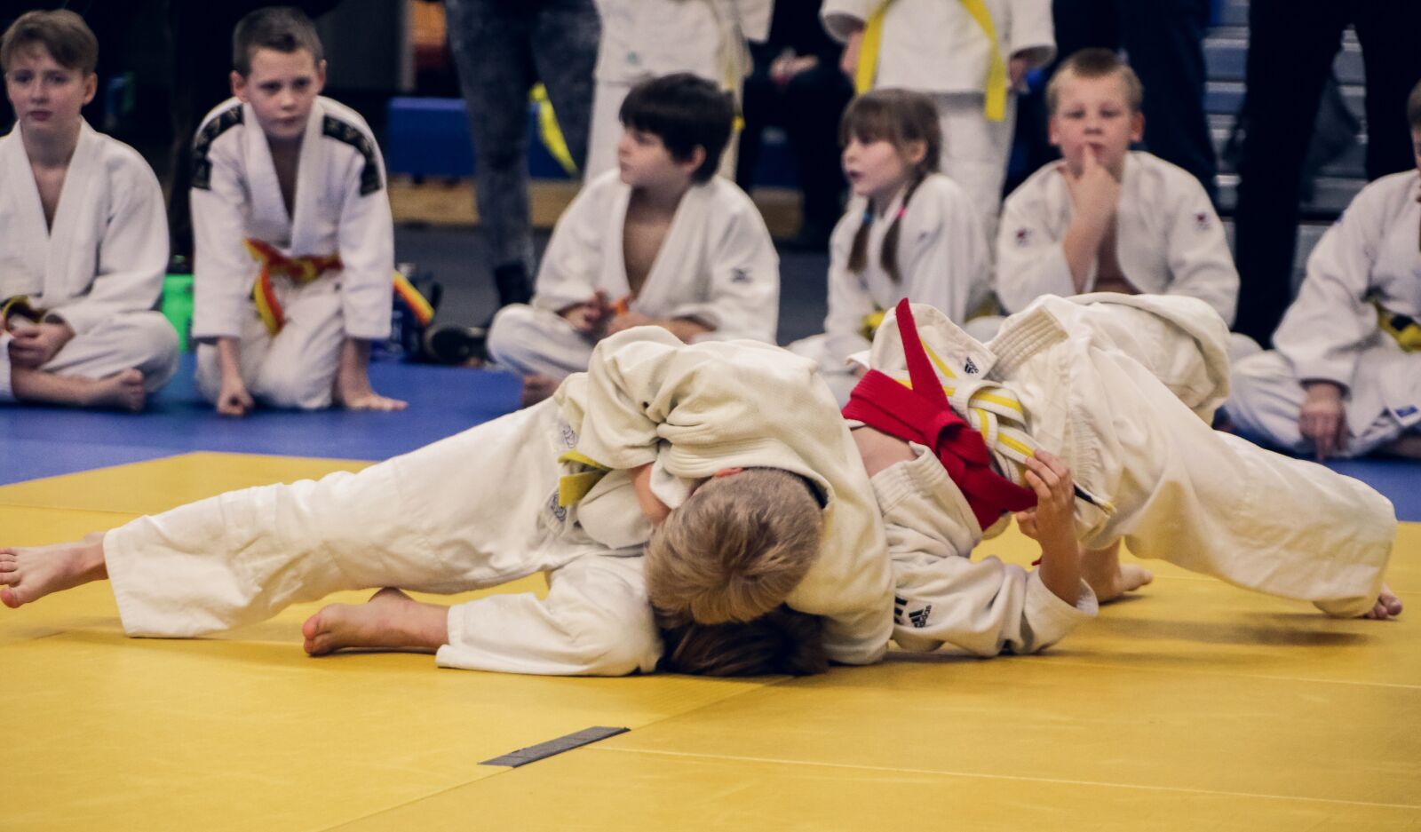 Canon EOS 6D sample photo. Judo, athlete, sport photography