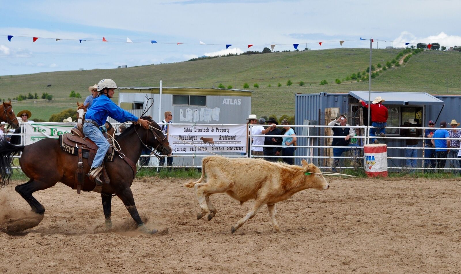 Nikon D5000 sample photo. Rodeo, calf roping, arena photography