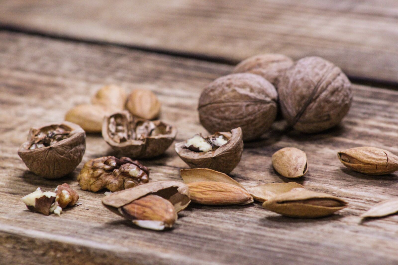 Canon EOS 500D (EOS Rebel T1i / EOS Kiss X3) sample photo. Nuts, walnut, almond photography