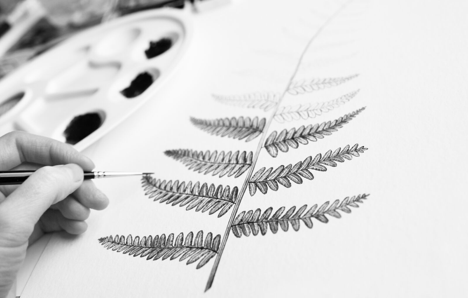 Canon EOS 5D Mark II sample photo. Painter, illustrator, painting photography