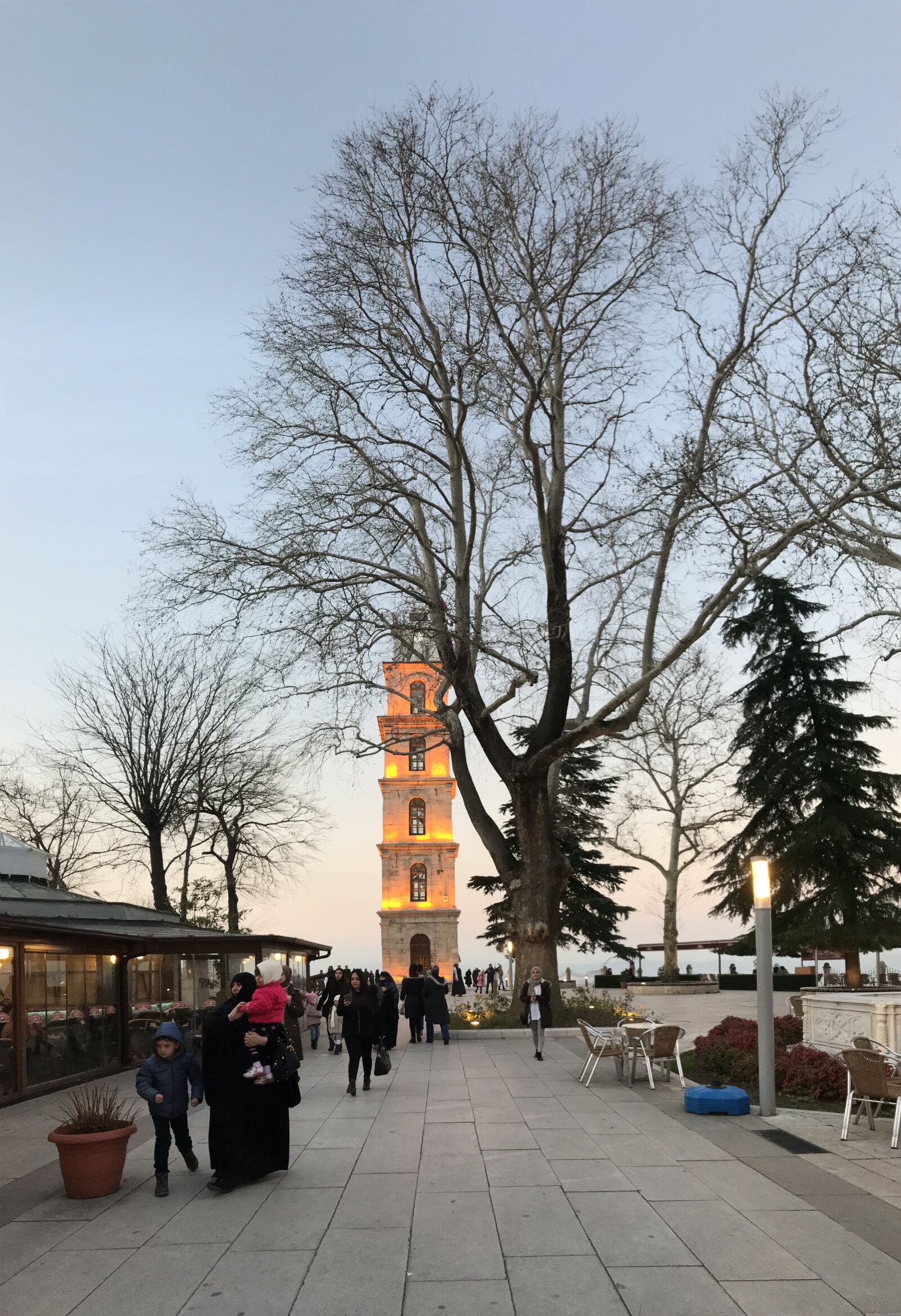 Apple iPhone 7 sample photo. Tree, tower, clock tower photography