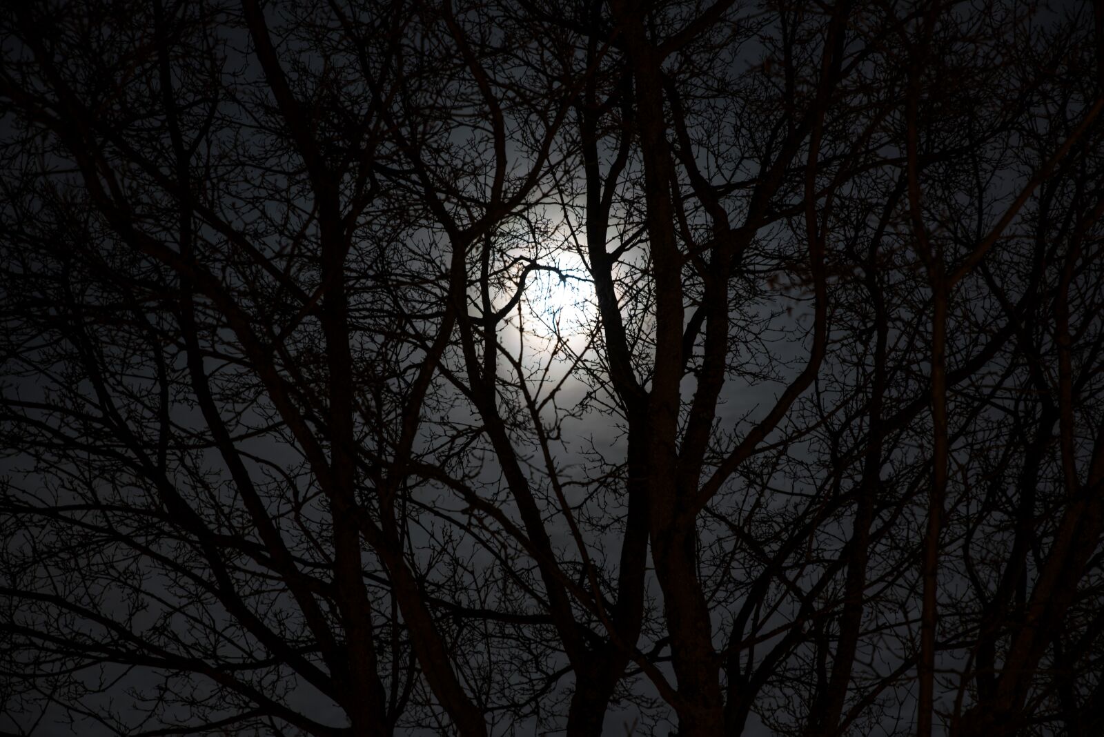 Nikon D750 sample photo. Moon, night, foggy photography