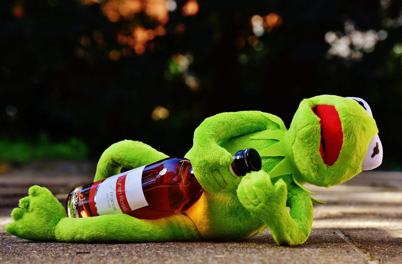Nikon D7200 sample photo. Kermit, frog, wine photography
