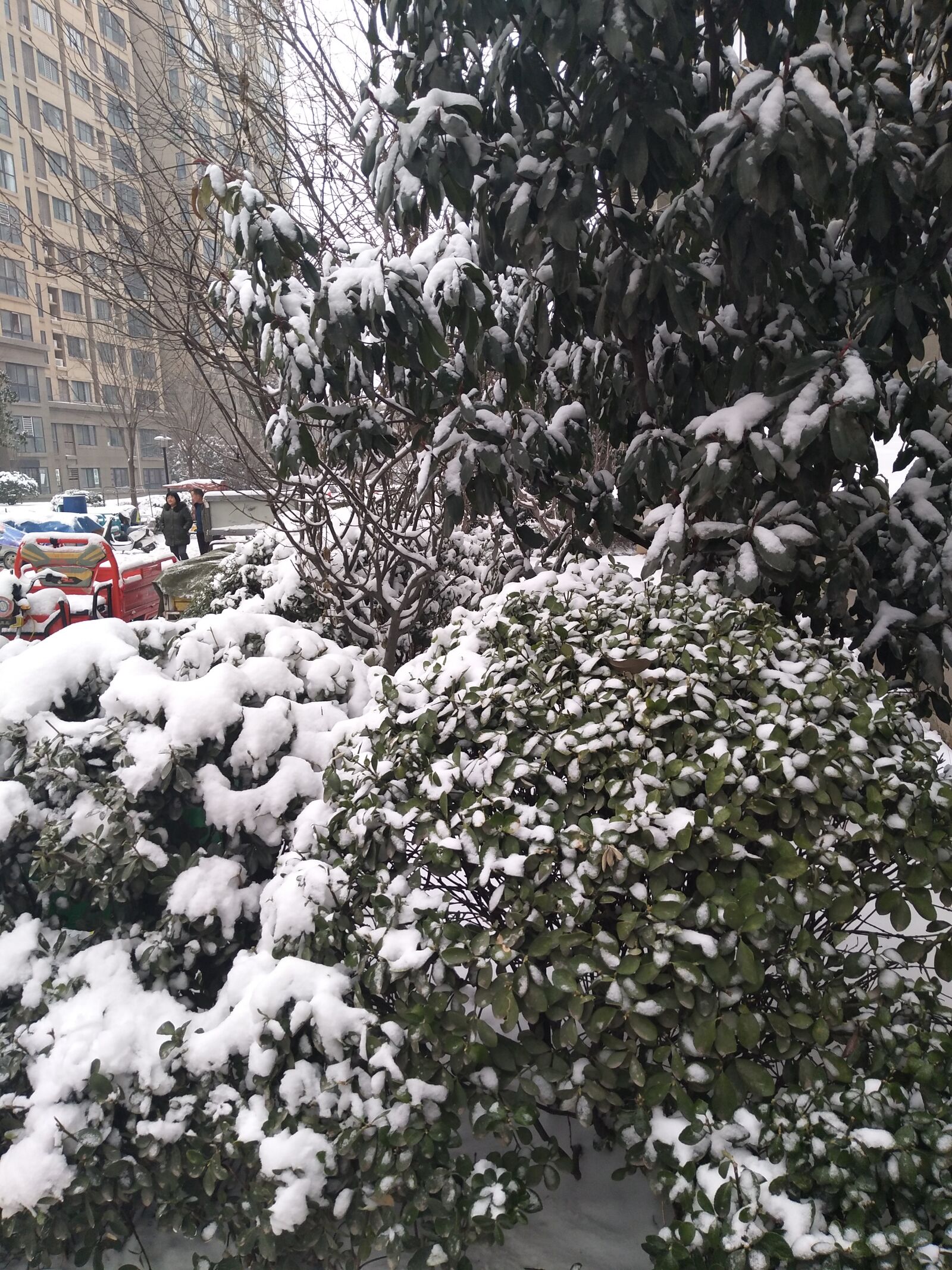 vivo X9 sample photo. Snowfall, snow, winter photography