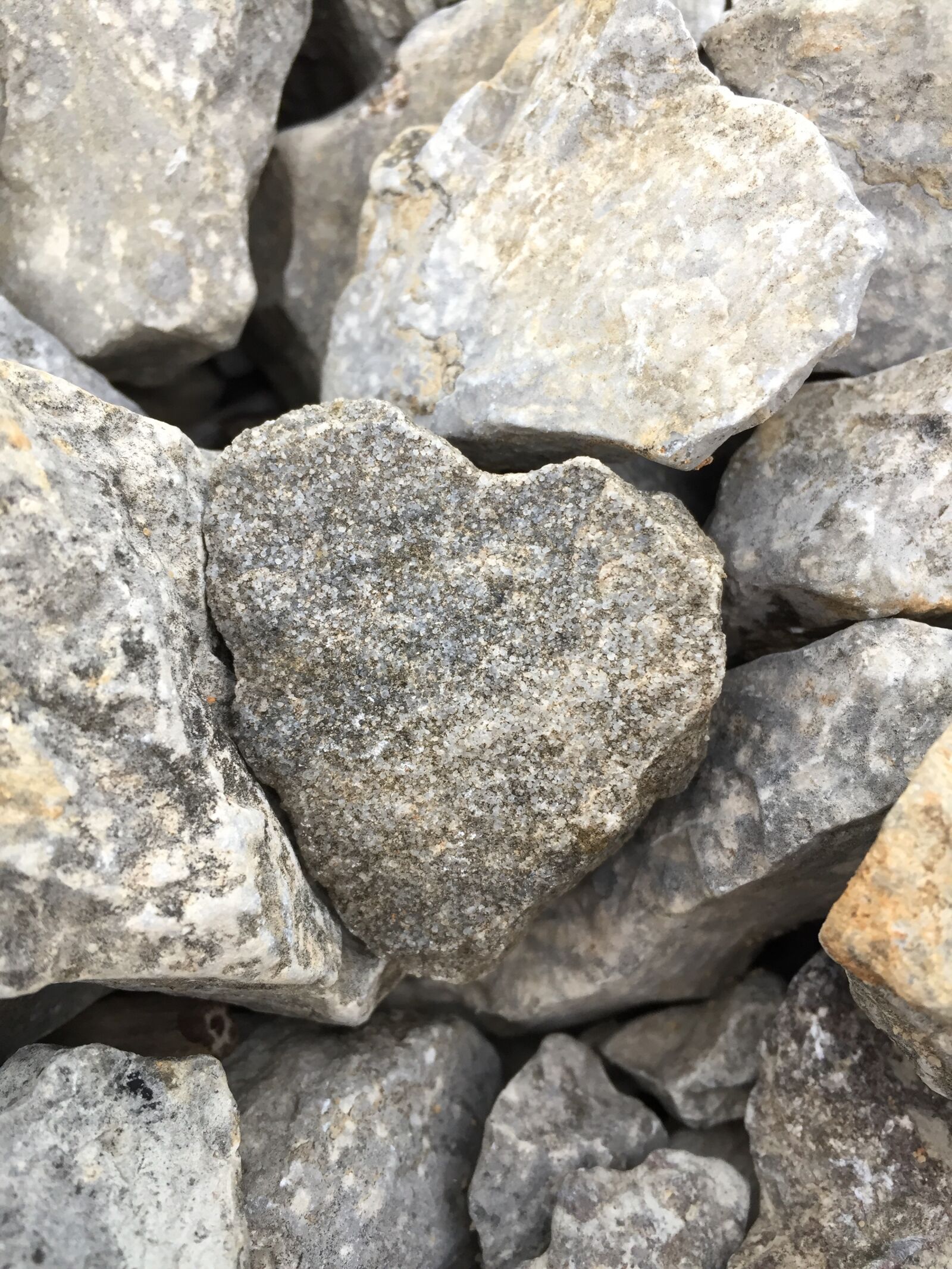Apple iPhone 6 sample photo. Heart, rock, lake photography
