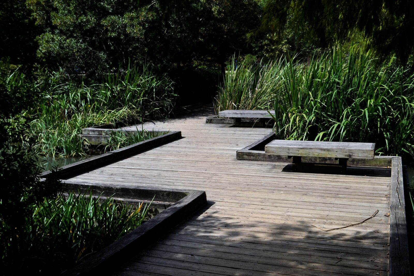 Nikon D3100 sample photo. Herman park, path over photography