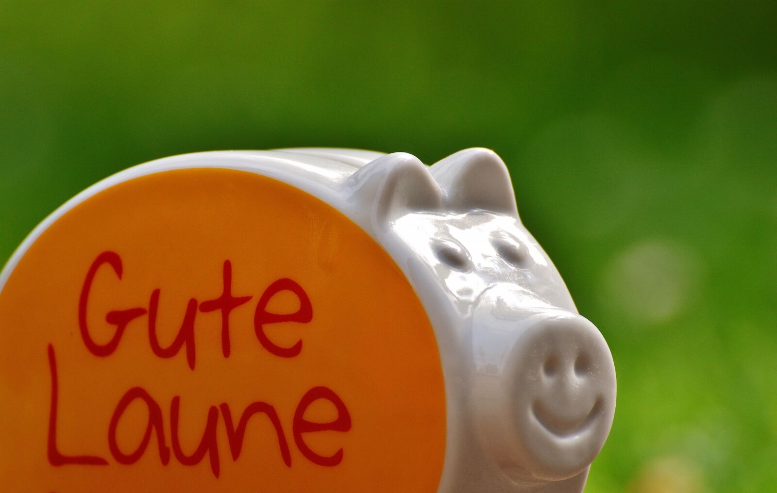 Nikon D3200 sample photo. Piggy bank, smiley, funny photography