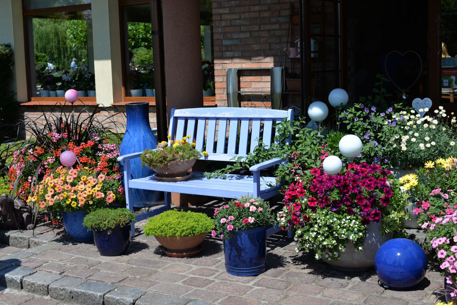 Nikon D610 sample photo. Flower, garden, patio photography