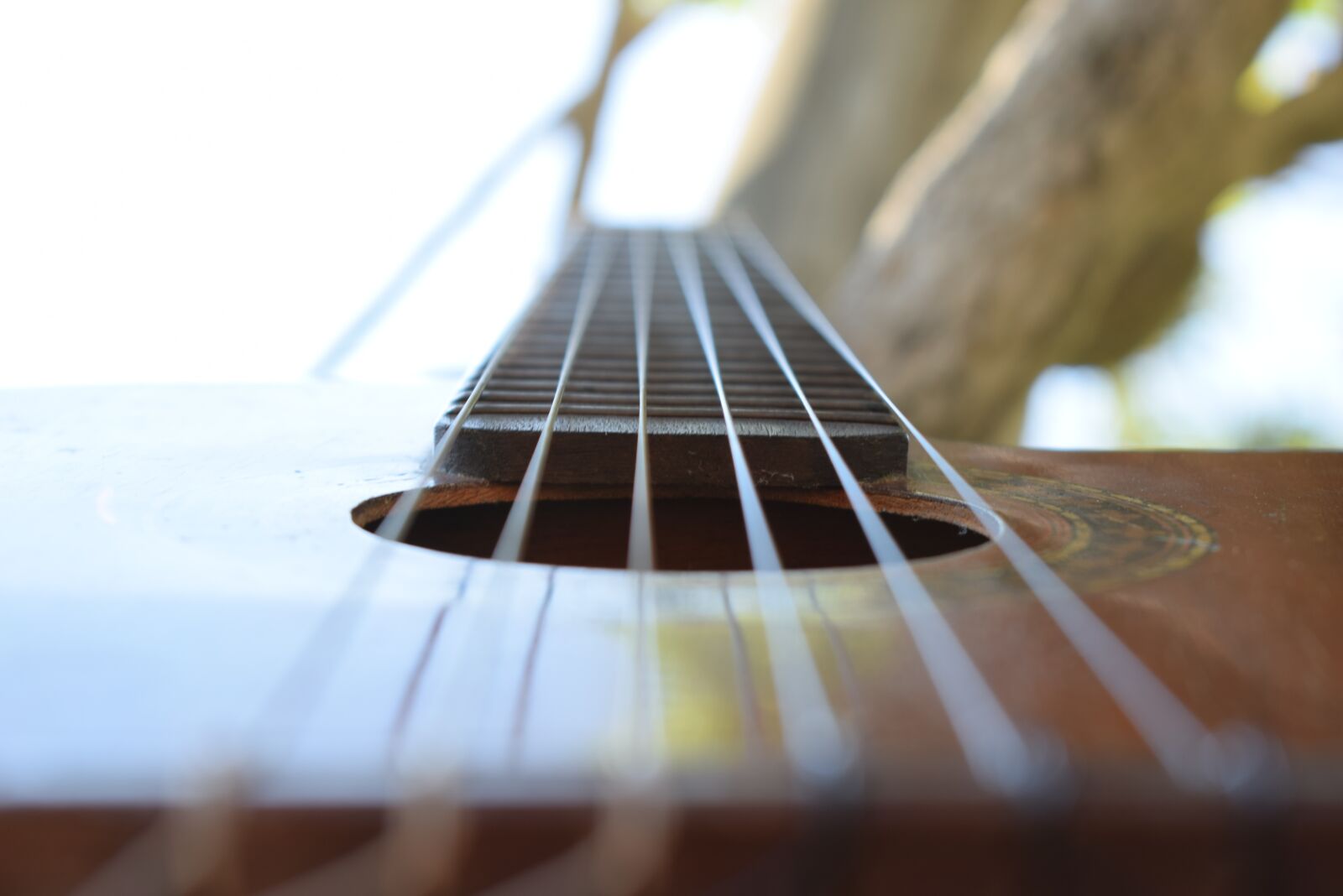 Nikon D5300 sample photo. Music, guitar, sound photography