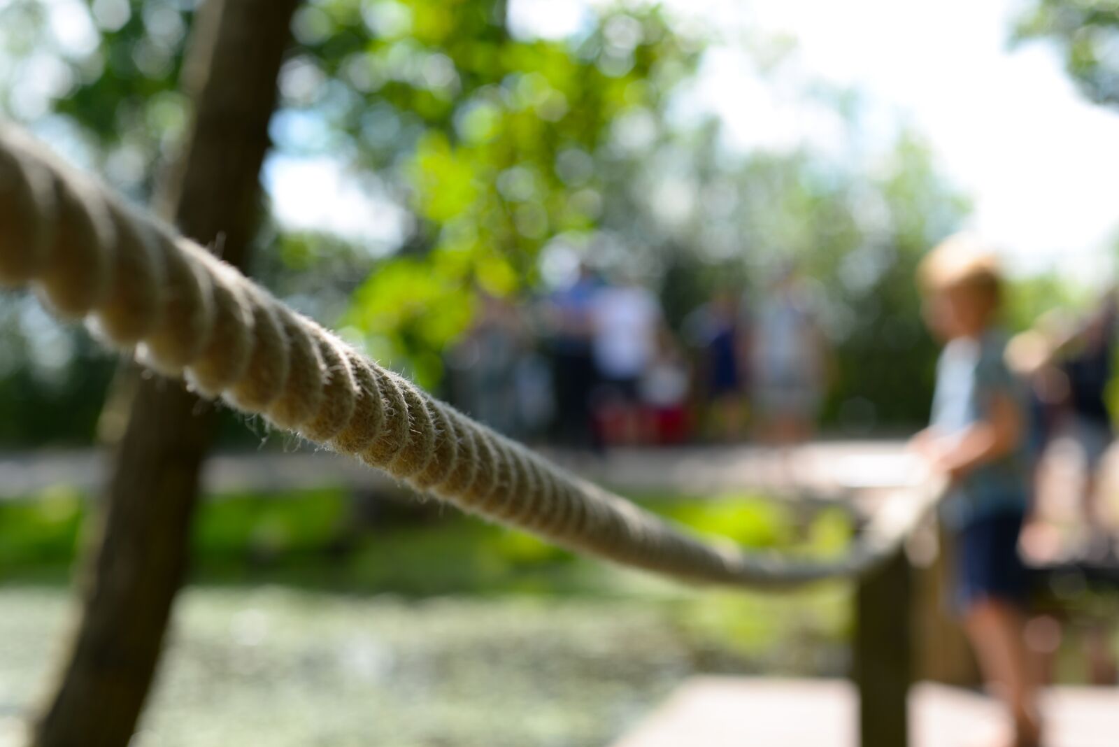 Nikon D610 sample photo. Rope, raft, boy photography