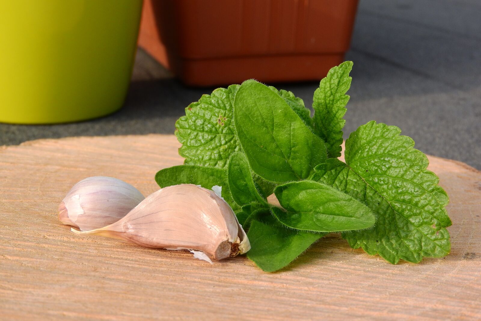 Nikon Coolpix P610 sample photo. Melissa, marjoram, garlic photography