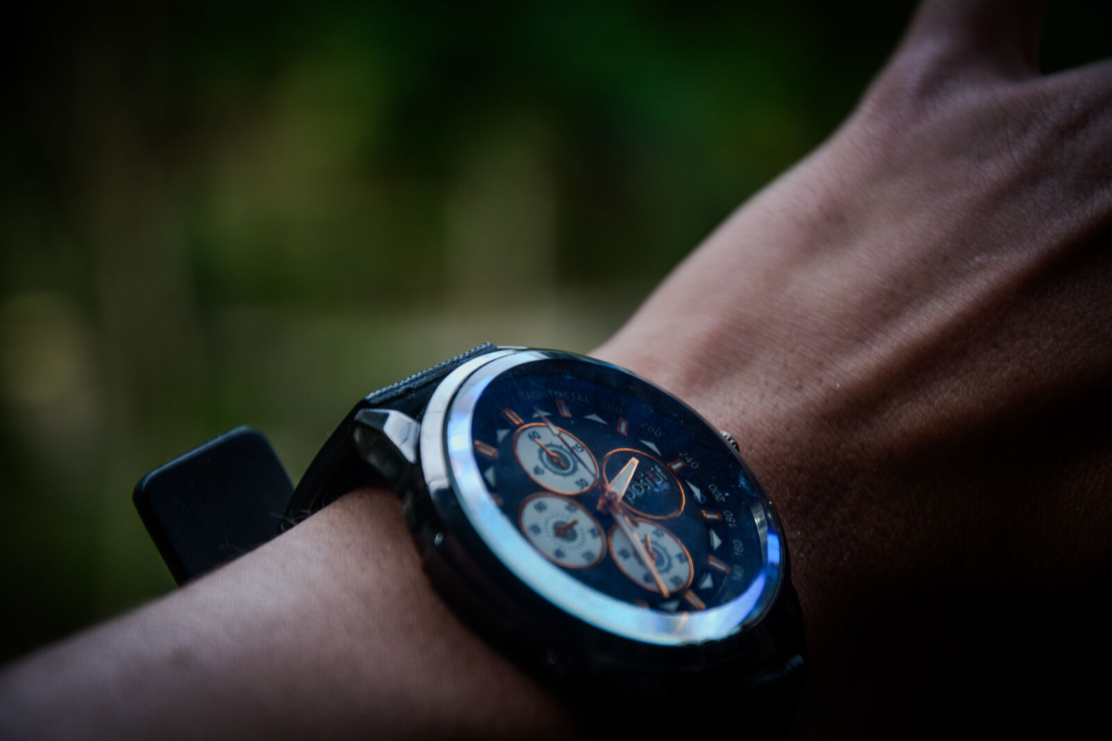 Nikon D5200 sample photo
