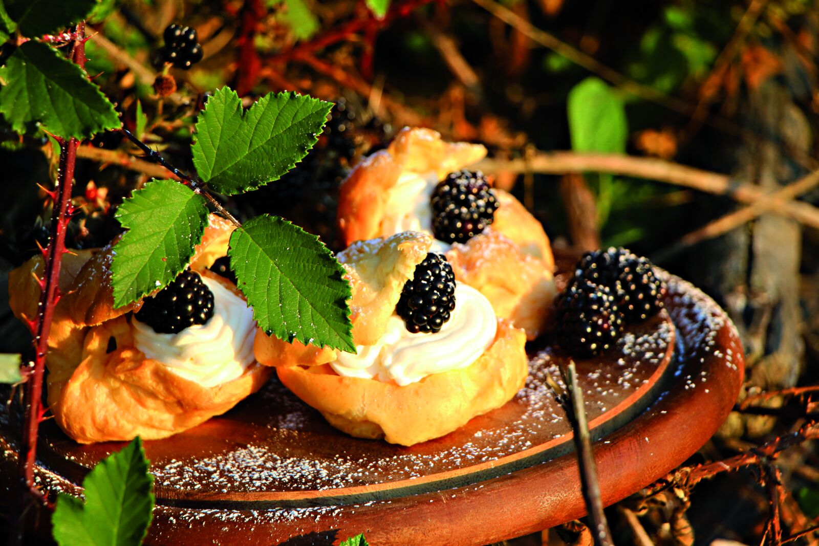 Canon EOS 650D (EOS Rebel T4i / EOS Kiss X6i) + Canon EF-S 18-135mm F3.5-5.6 IS STM sample photo. Cream puff, berries, blackberries photography