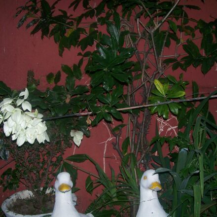 Kodak EASYSHARE C743 ZOOM DIGITAL CAMERA sample photos - ExploreCams