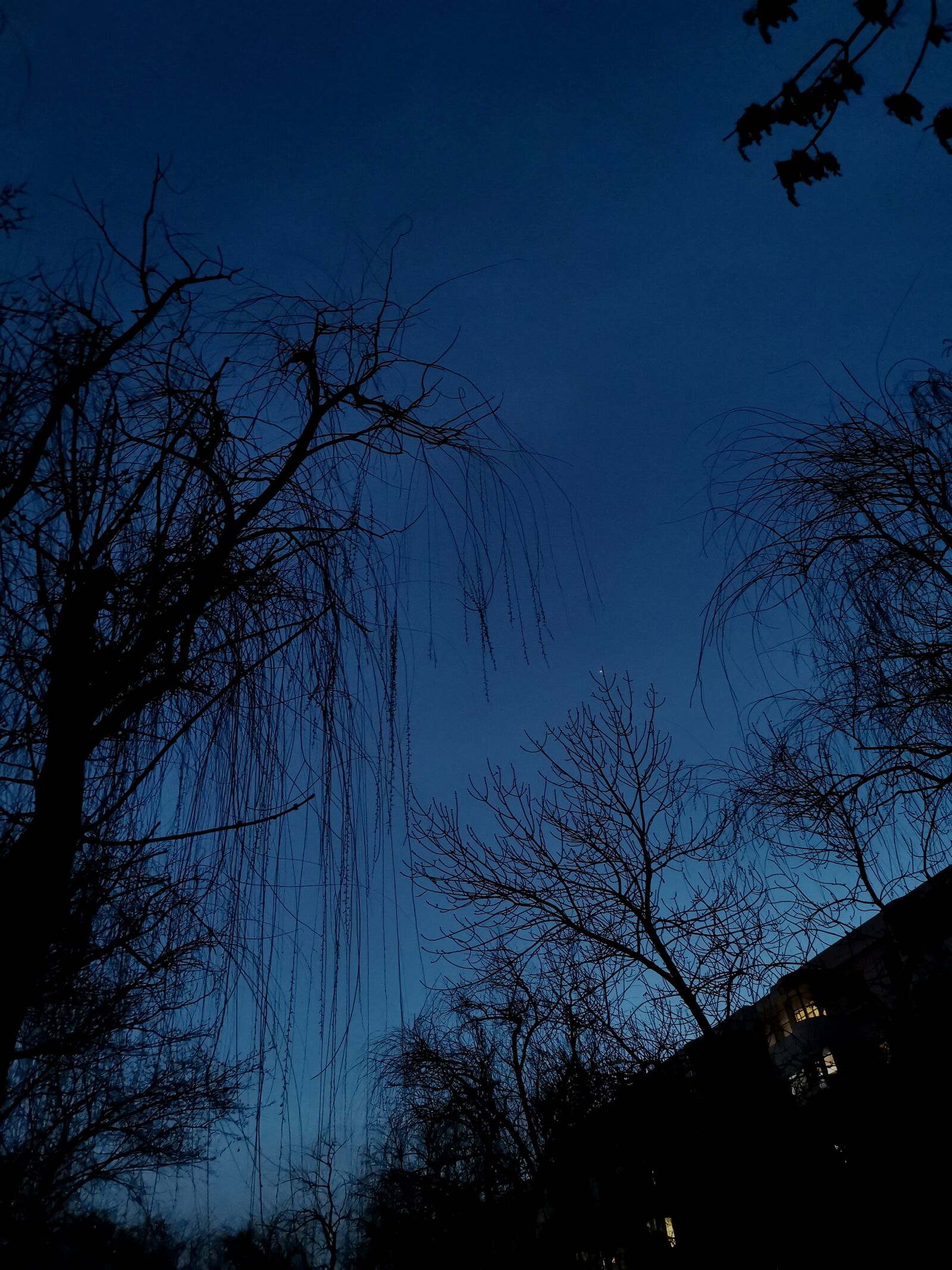 HUAWEI Mate 20 Pro sample photo. Sky, shadows, blue photography