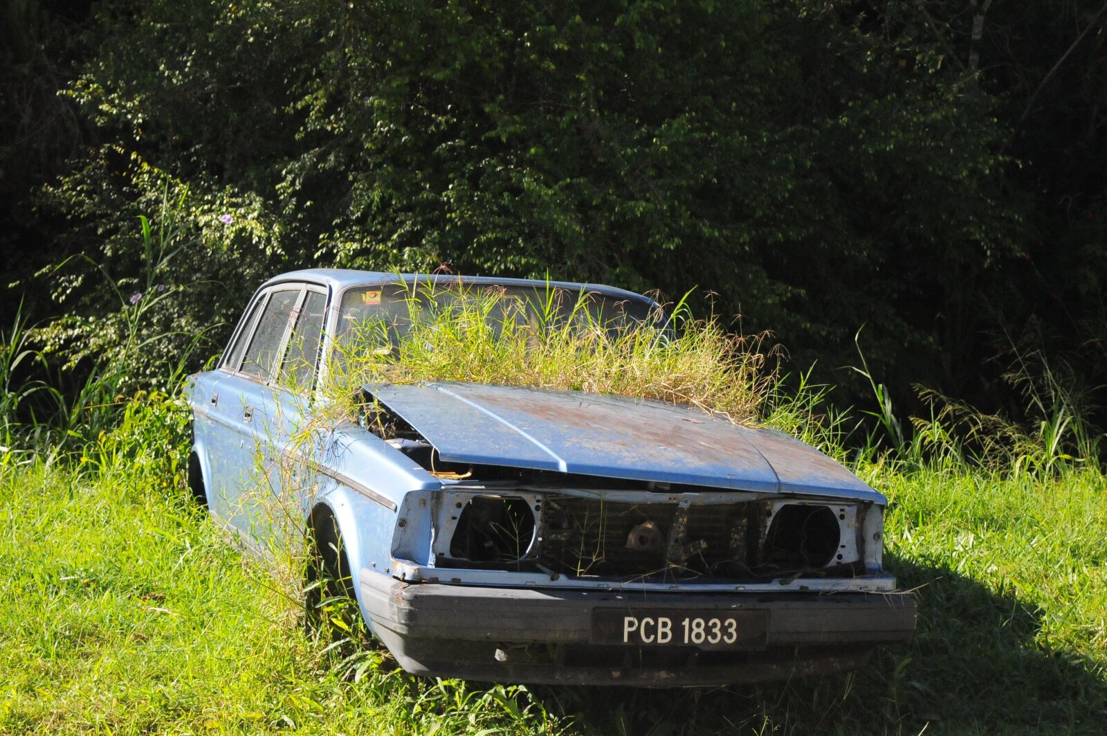 Nikon D300S sample photo. Nature, vehicle, countryside photography