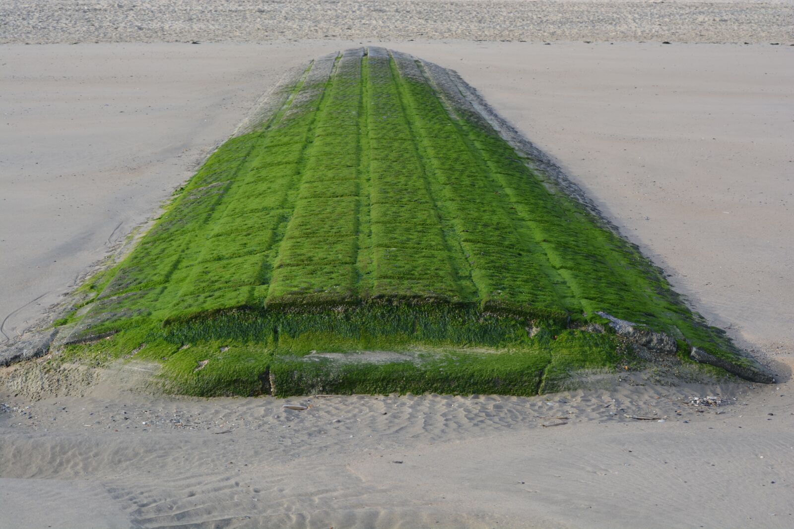 Nikon D5200 sample photo. Breakwater, beach, green photography
