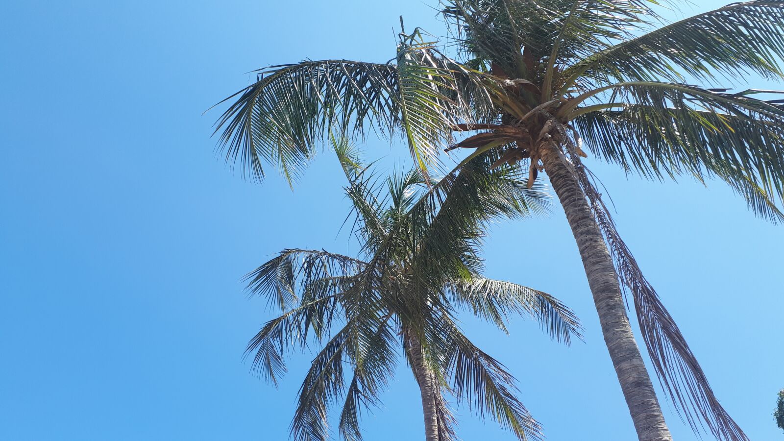 Samsung Galaxy A5(2017) sample photo. Sol, playa, azul photography