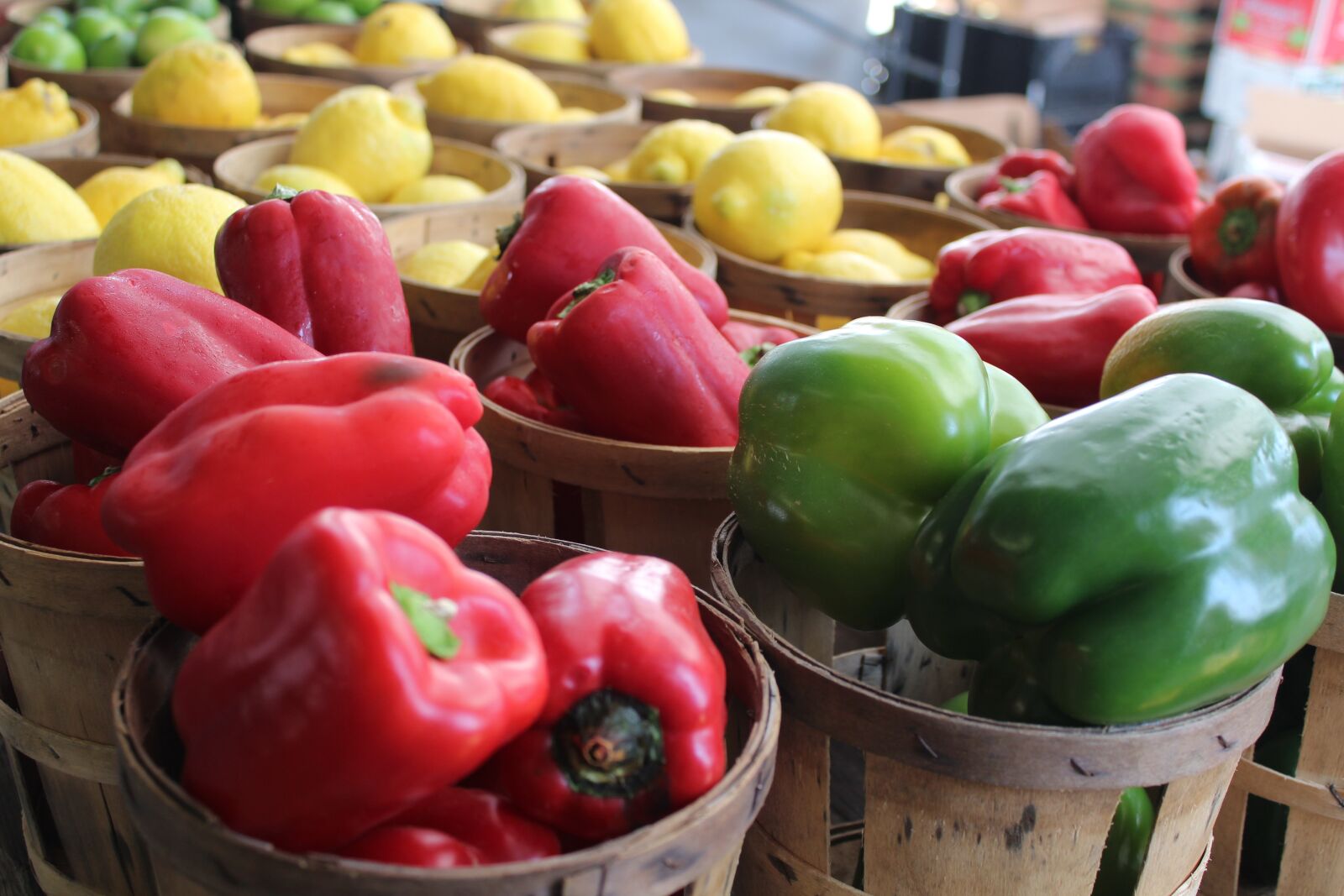 Canon EOS 1200D (EOS Rebel T5 / EOS Kiss X70 / EOS Hi) sample photo. Peppers, lemons, agriculture photography