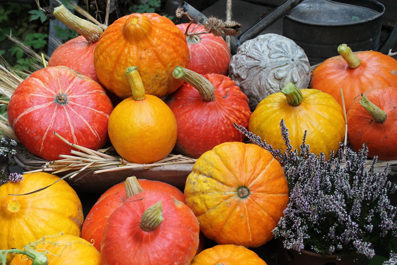 Canon EOS 1100D (EOS Rebel T3 / EOS Kiss X50) sample photo. Pumpkins, autumn, decoration photography