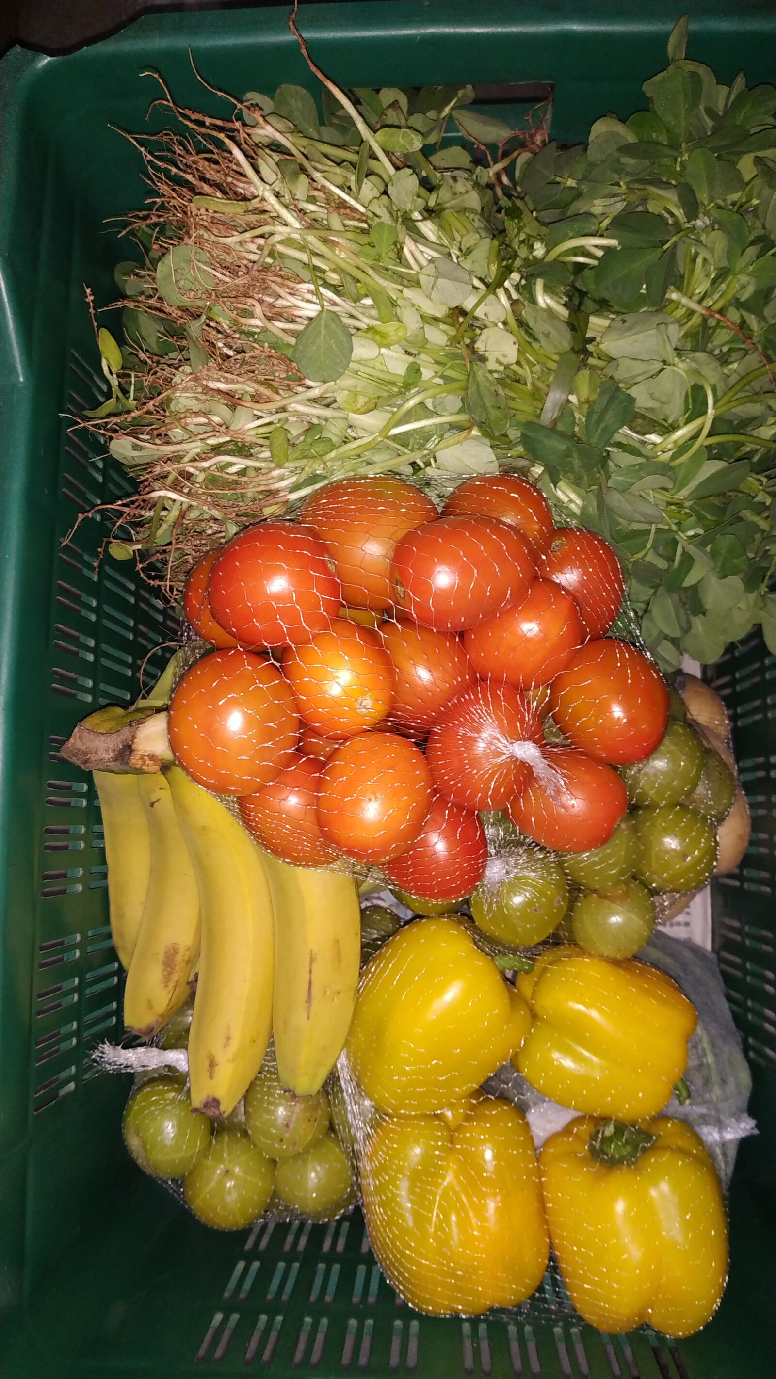 Xiaomi Redmi Note 6 Pro sample photo. Organic vegetable, fruits, tomato photography