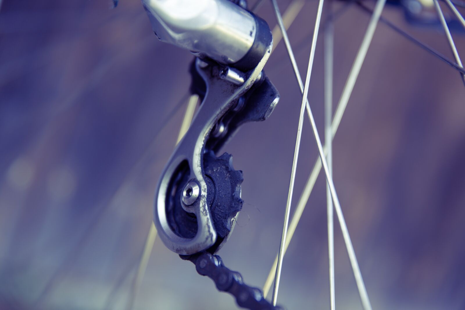 Canon EF 24-70mm F2.8L II USM sample photo. Road bike, vintage, bike photography