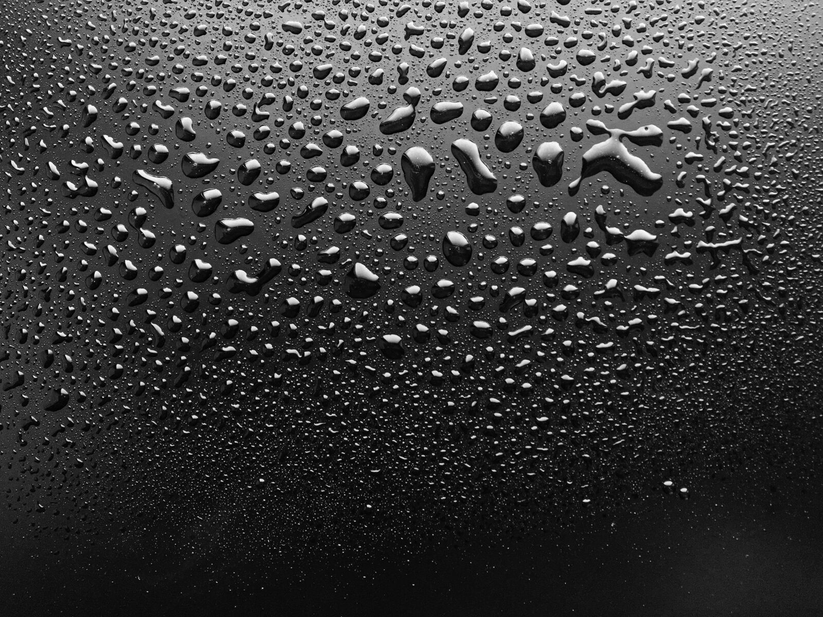 Apple iPhone 6s sample photo. Water droplets, dew, wet photography