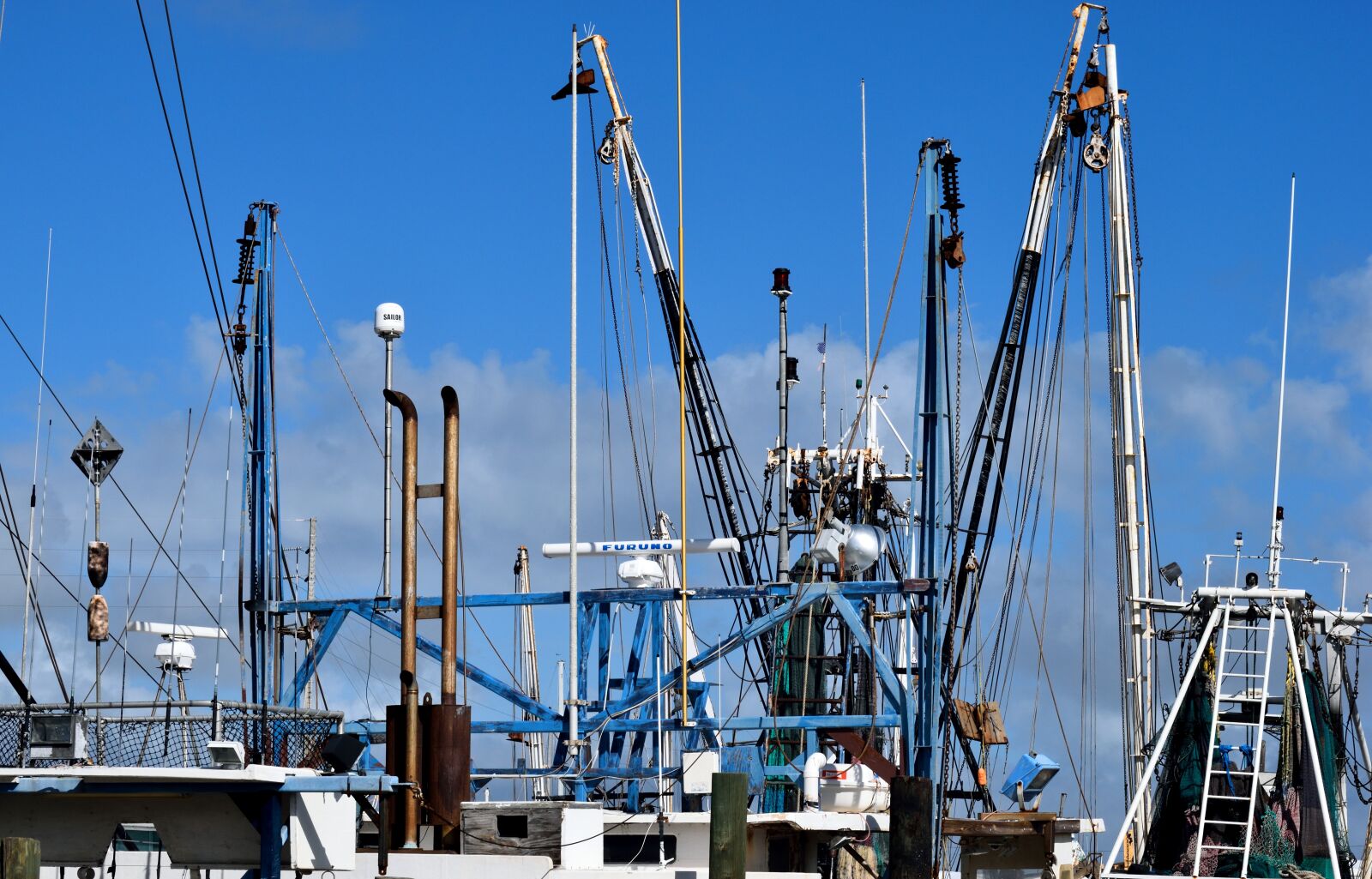 Nikon D3300 sample photo. Commercial fishing nets, shrimp photography