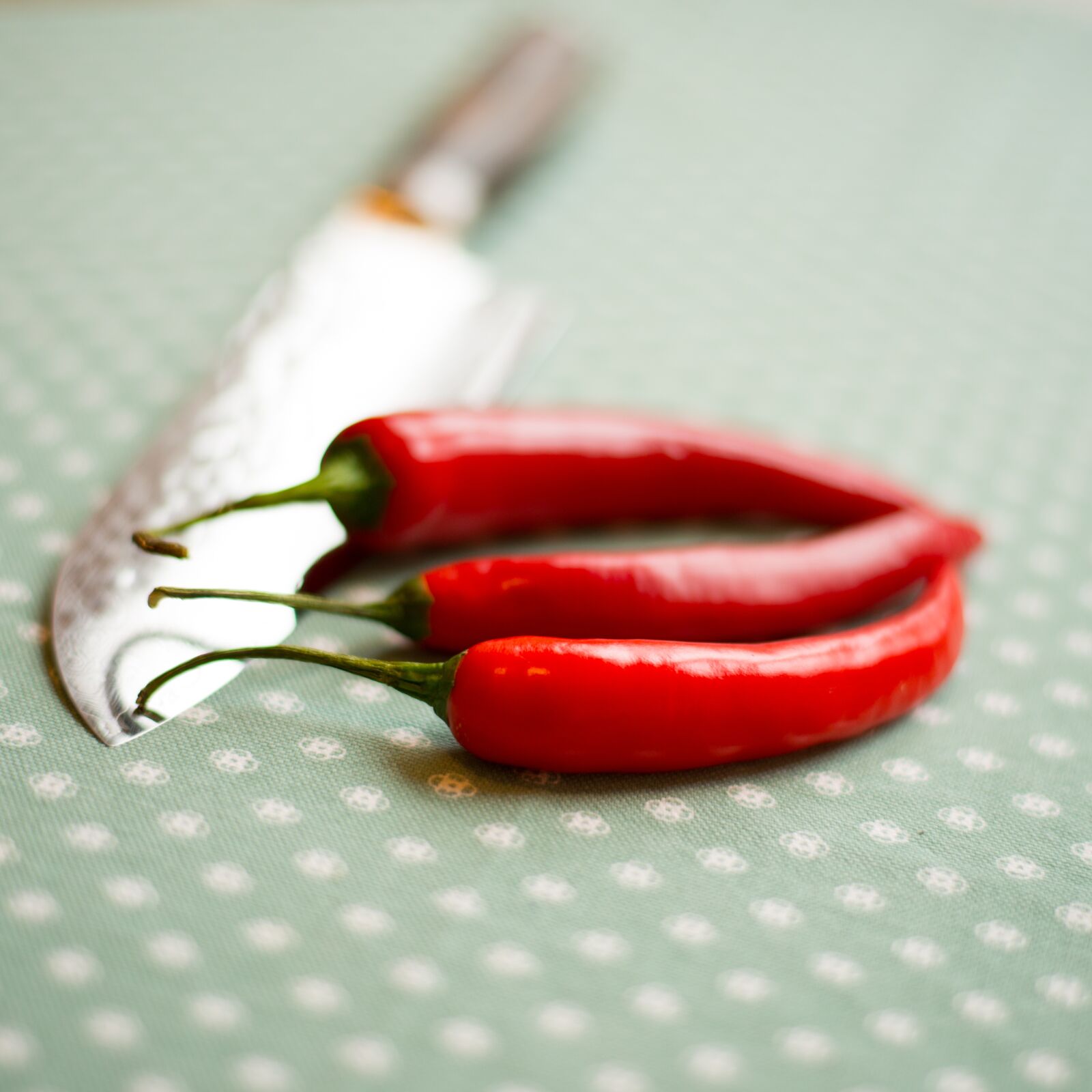 Nikon D800 sample photo. Knife, sharp, peppers photography