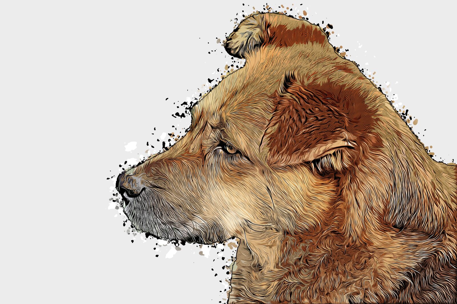 Canon EF-S 55-250mm F4-5.6 IS STM sample photo. Dog, portrait, drawing photography