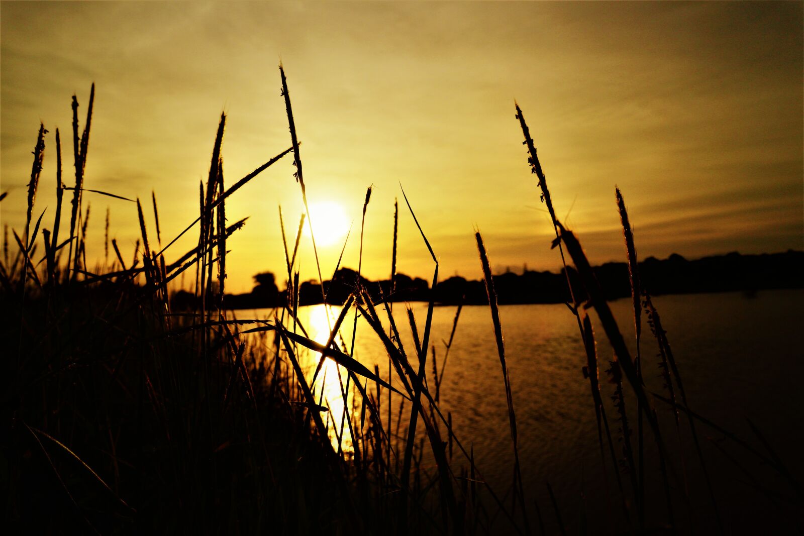 Canon EOS M10 sample photo. Sunset, lanscape, vietnam photography