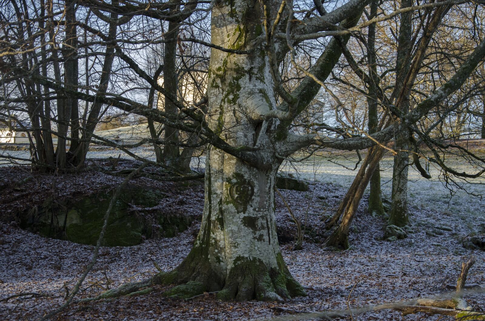 Nikon D7000 sample photo. N s castle, lerum photography