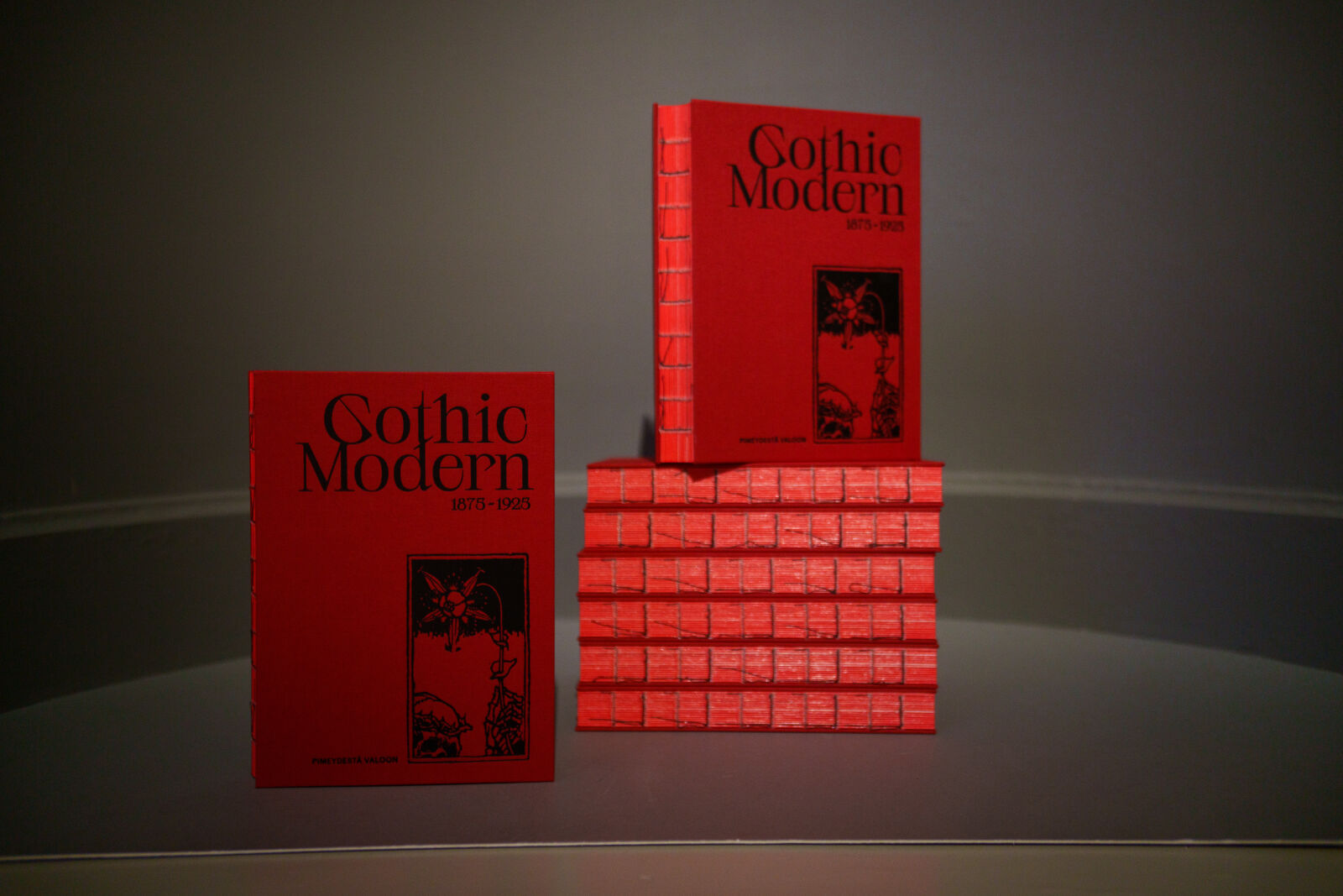 Sony a7R V sample photo. Exhibition books photography