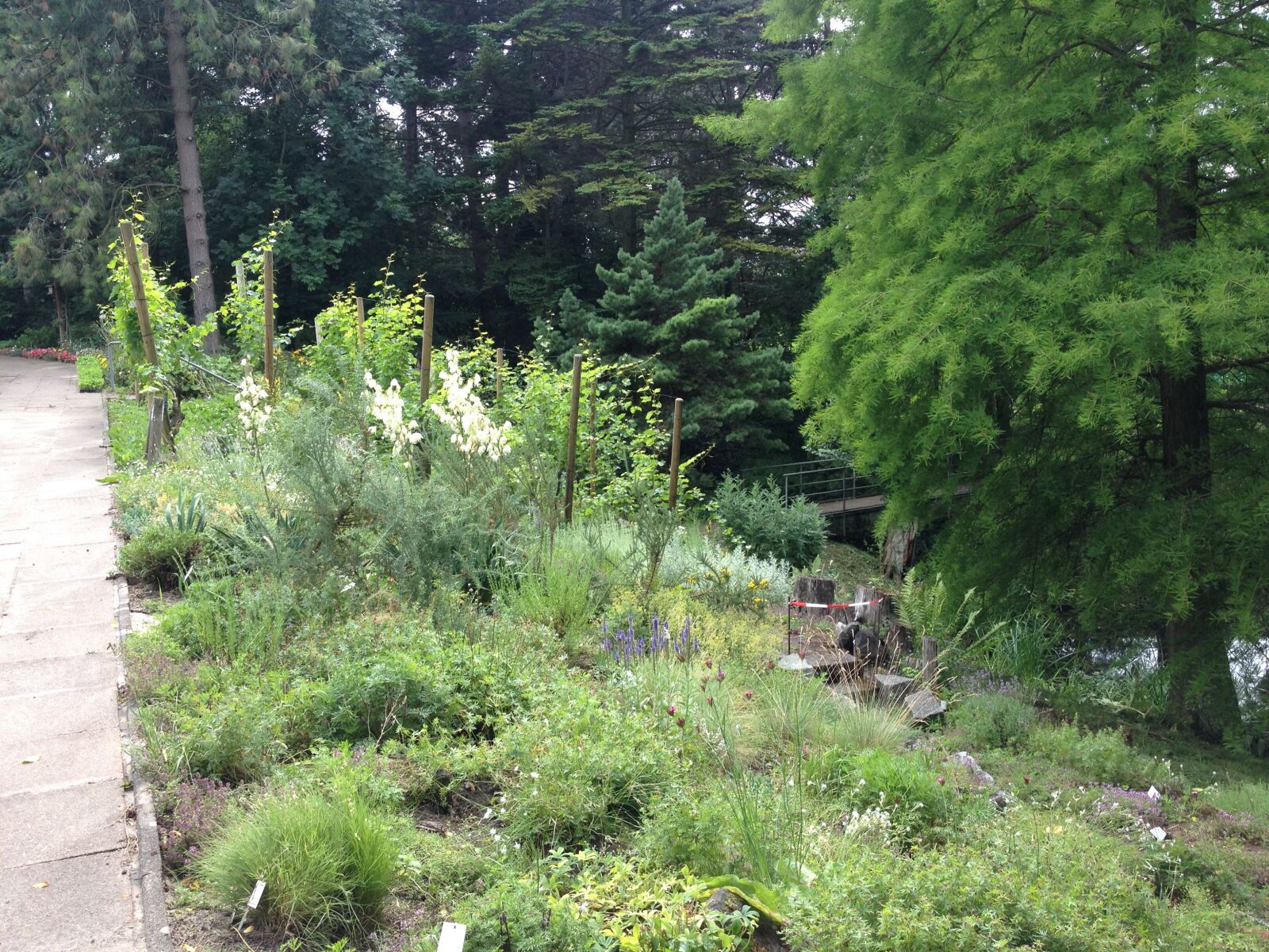 iPhone 4S back camera 4.28mm f/2.4 sample photo. Nature, trees, landscape photography