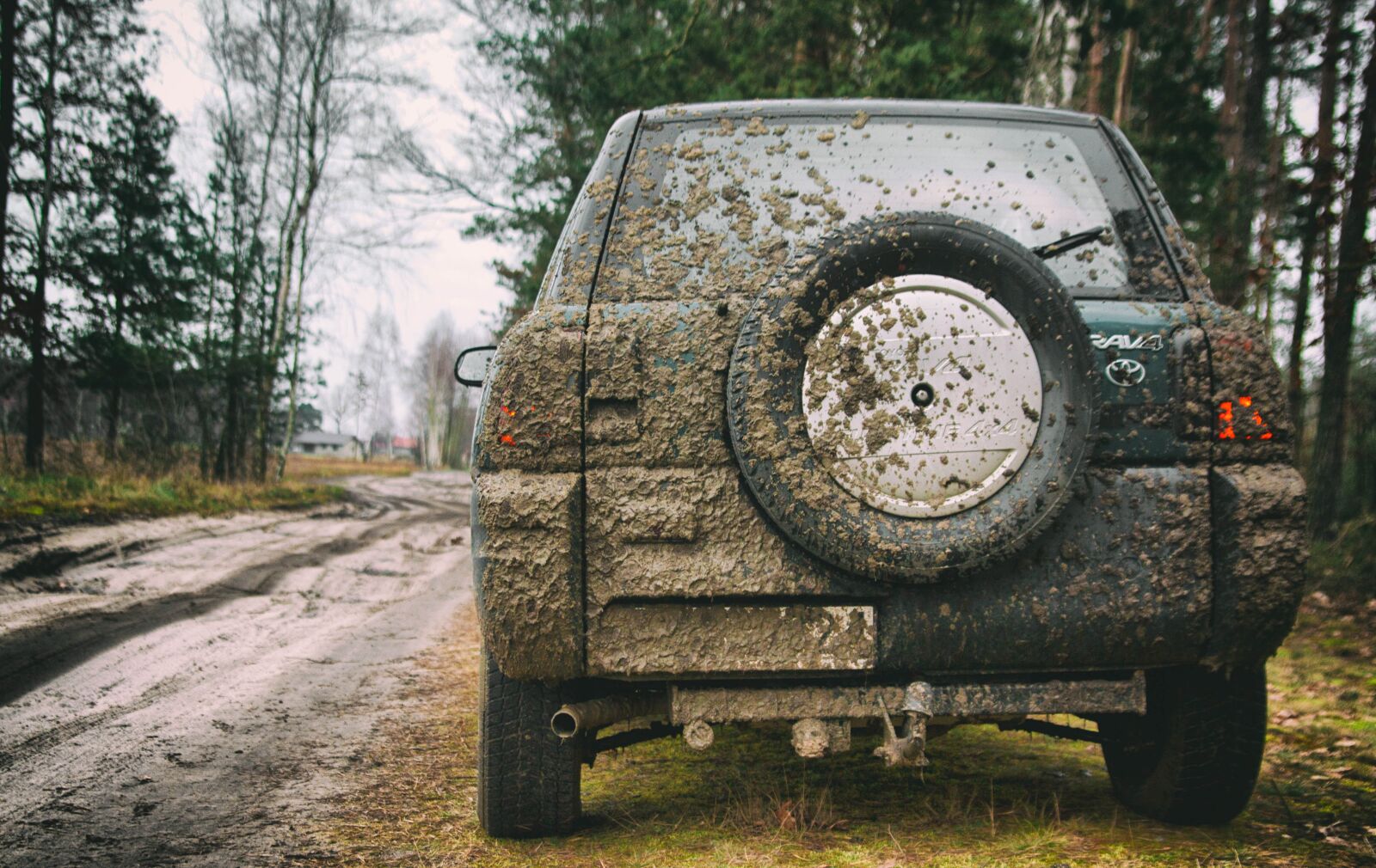 Canon EOS 50D sample photo. Nature, field, car photography