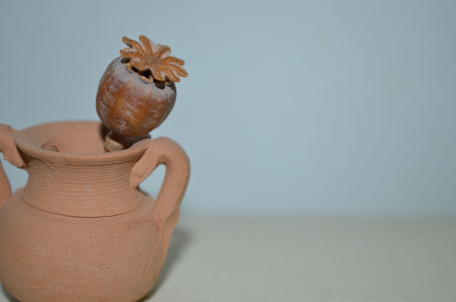 Nikon D5100 sample photo. Amphora, poppy, still life photography