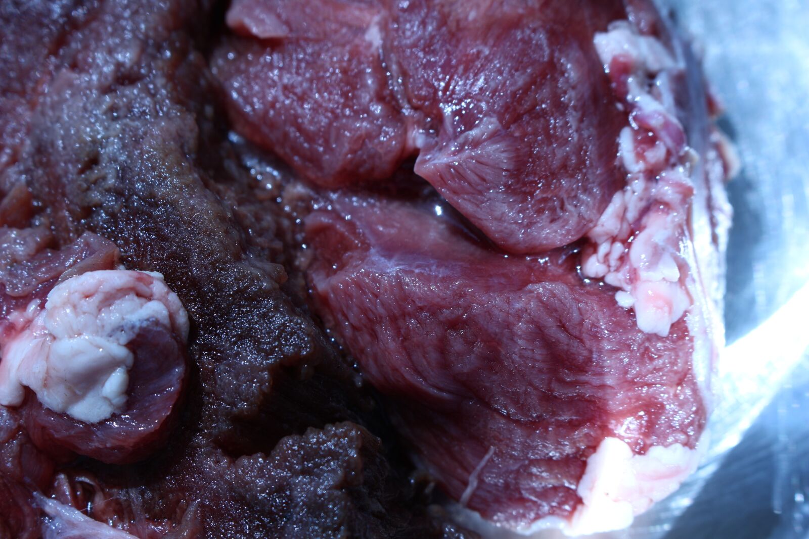 Canon EOS 100D (EOS Rebel SL1 / EOS Kiss X7) sample photo. Roe, meat, abstraction photography