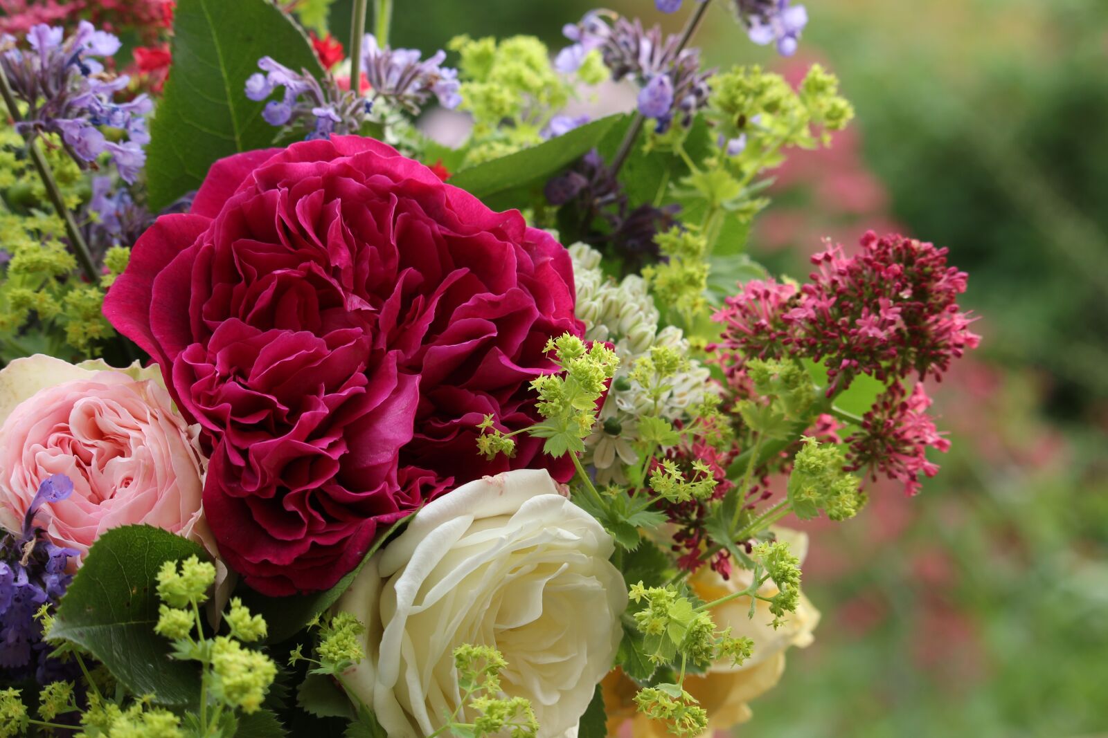 Canon EF-S 55-250mm F4-5.6 IS STM sample photo. Bouquet, summer, summer bouquet photography