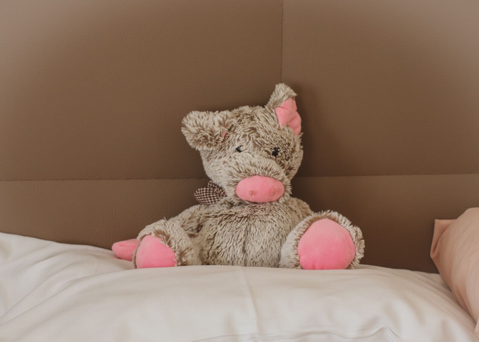 Canon EOS 200D (EOS Rebel SL2 / EOS Kiss X9) sample photo. Soft toy, pig, pillow photography