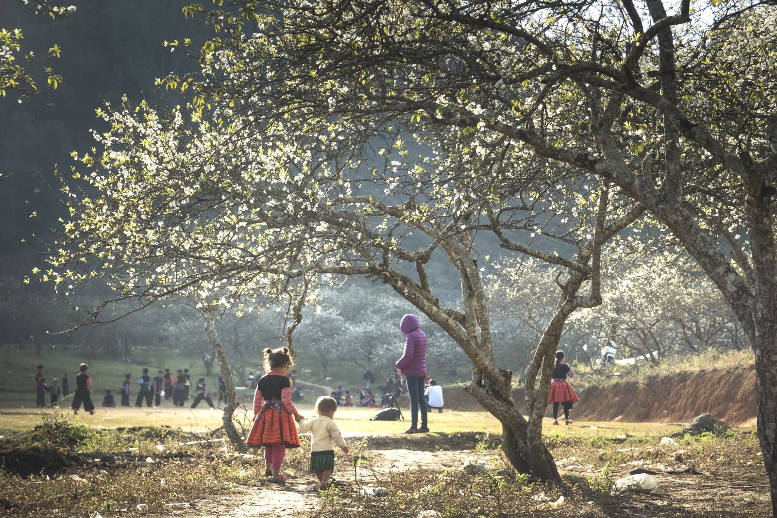 Sony a6500 + Sony Vario-Tessar T* E 16-70mm F4 ZA OSS sample photo. Year, lunar, hmong photography