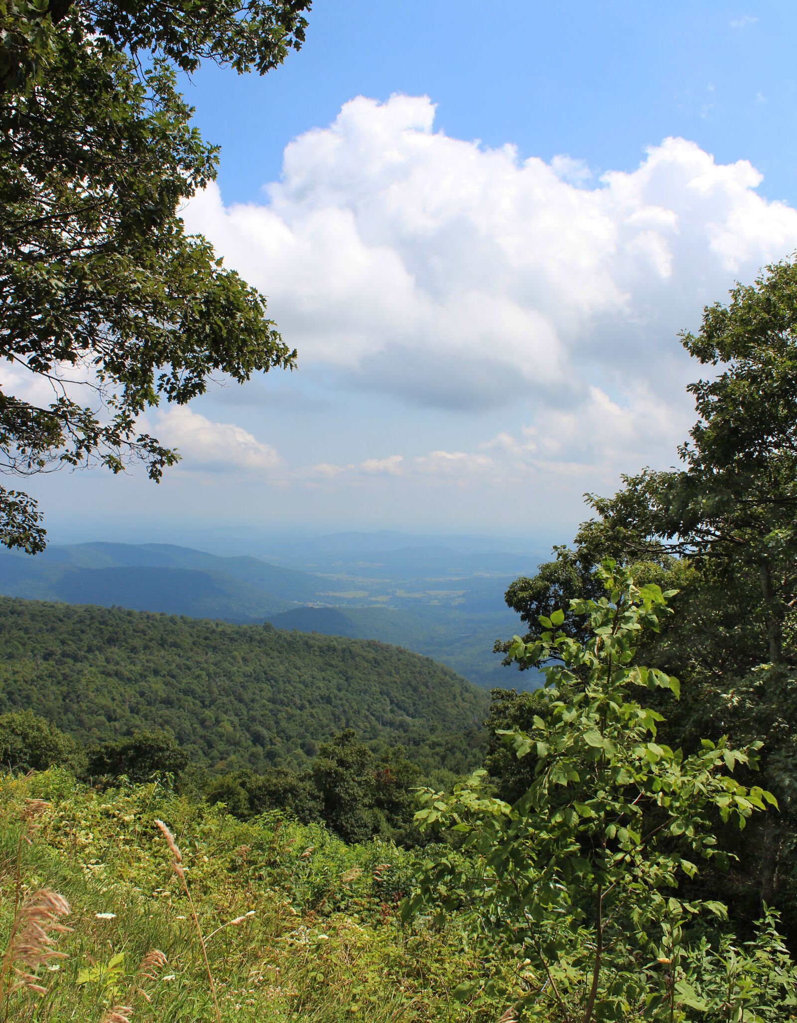 Canon EOS 600D (Rebel EOS T3i / EOS Kiss X5) sample photo. Shenandoah valley, virginia, mountains photography