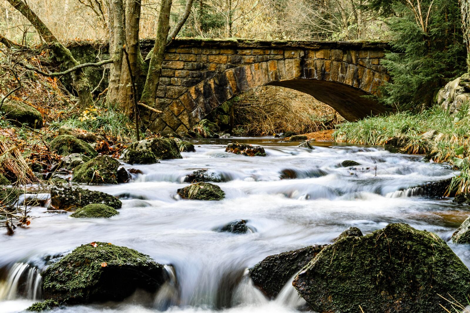 Nikon D750 sample photo. Autumn, waterfall, resin photography
