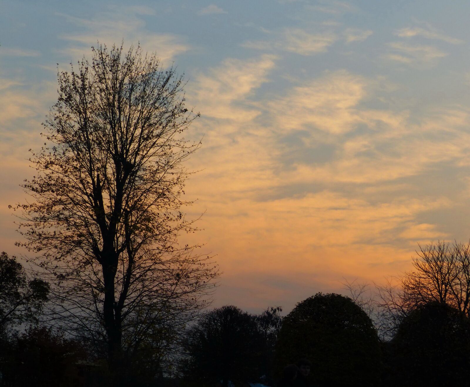 Panasonic Lumix DMC-FZ200 sample photo. Tree, sunset, sky photography