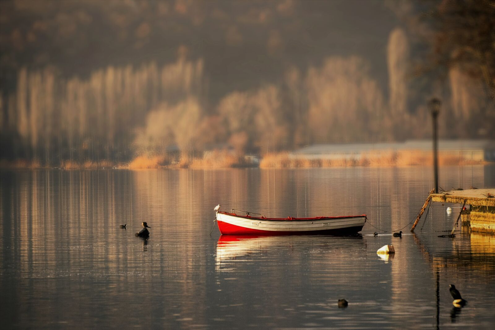 Nikon D5300 sample photo. Boat, lake, water photography