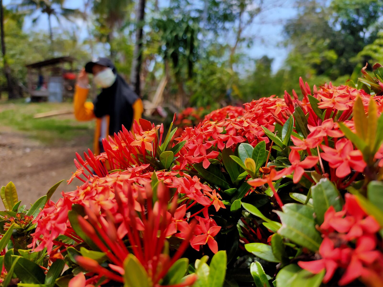 Realme 5 PRO sample photo